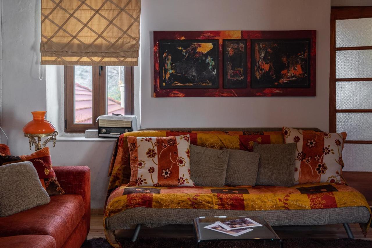 Villa Malevi 蒂米萨那 外观 照片