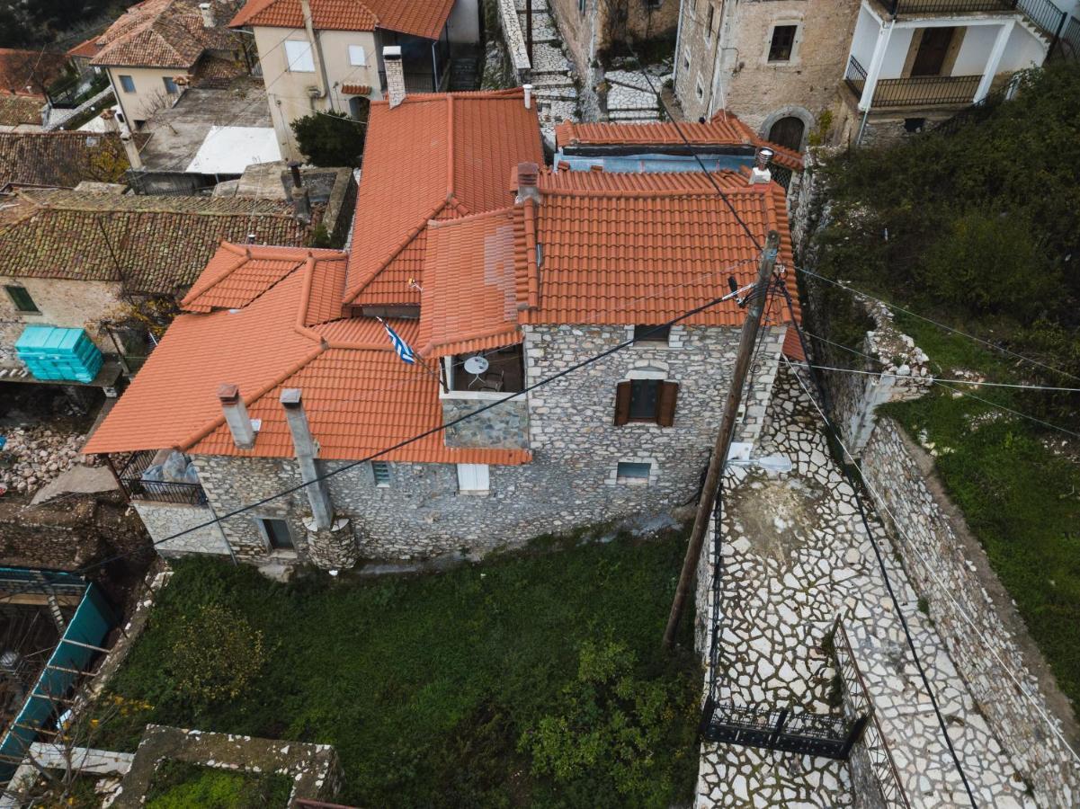 Villa Malevi 蒂米萨那 外观 照片