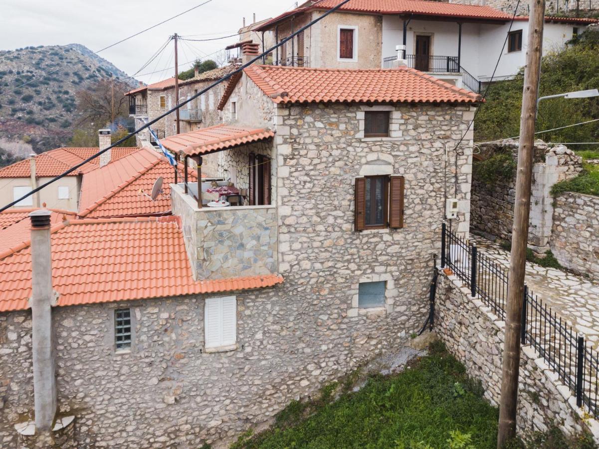 Villa Malevi 蒂米萨那 外观 照片
