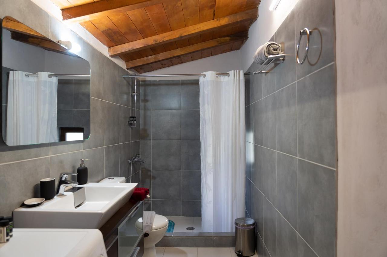 Villa Malevi 蒂米萨那 外观 照片