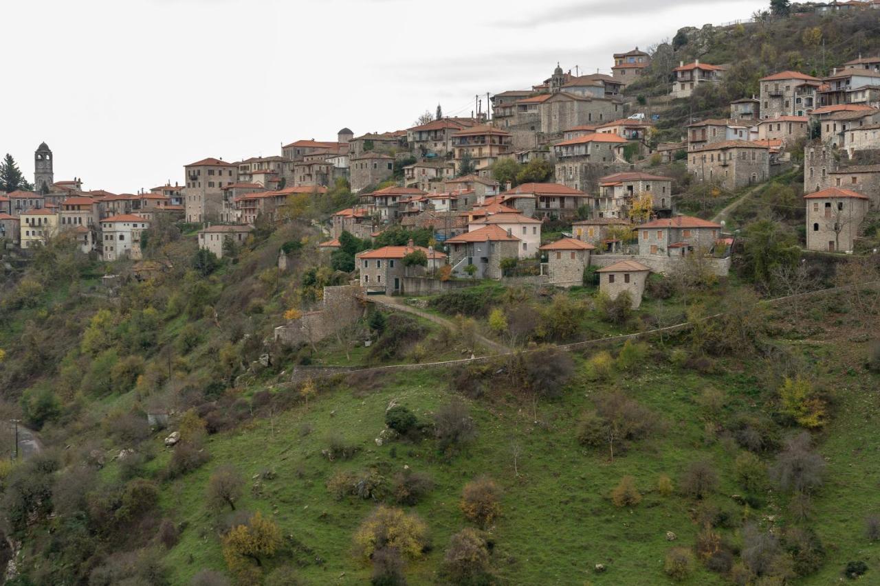 Villa Malevi 蒂米萨那 外观 照片